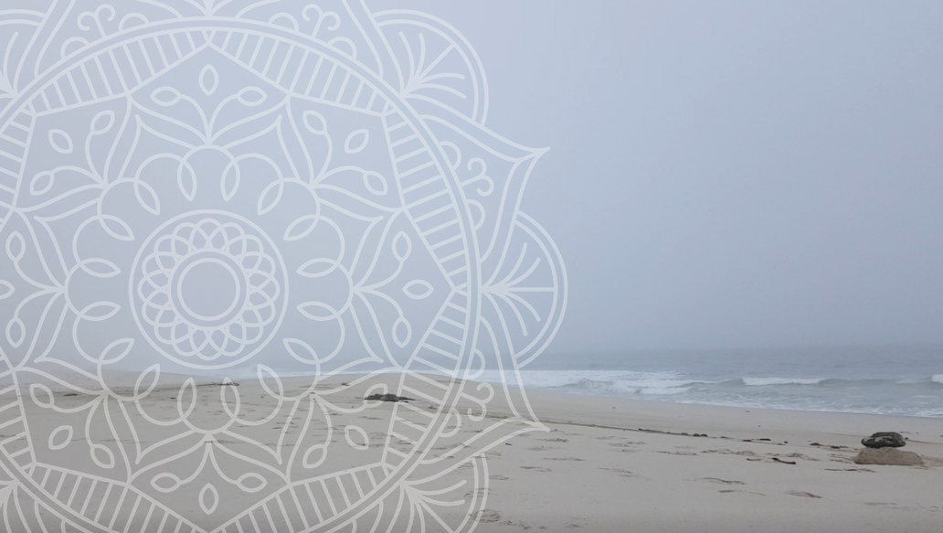 Consumed Shores West Coast Misty mornings