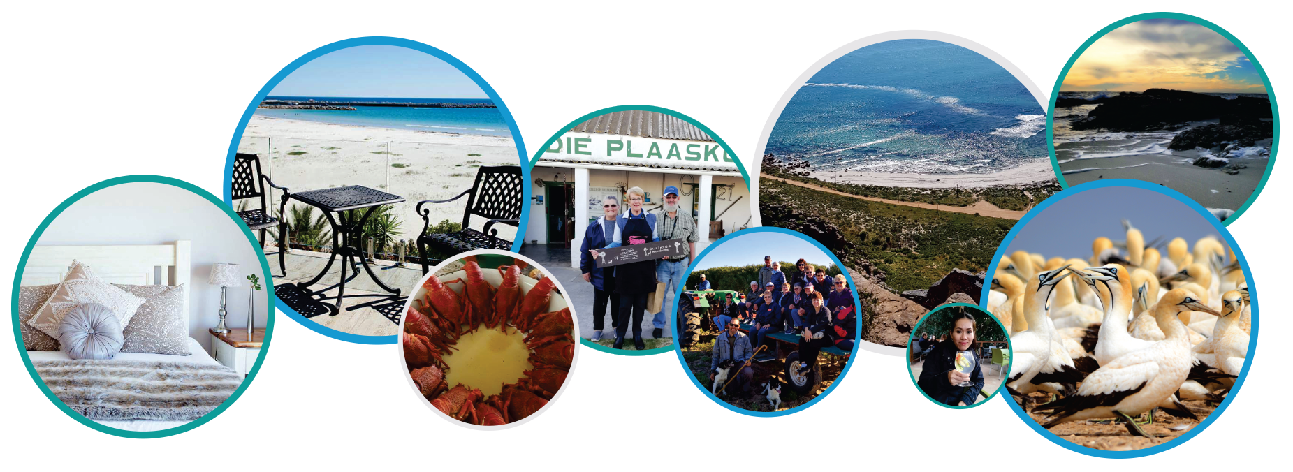 Lambert's Bay Tours & Destinations