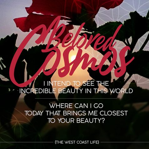 Beloved Cosmos I intend to see the beauty in this world