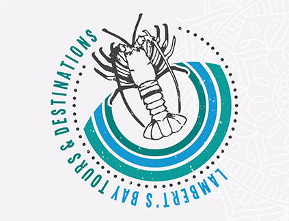 Lambert's Bay Tours & Destinations