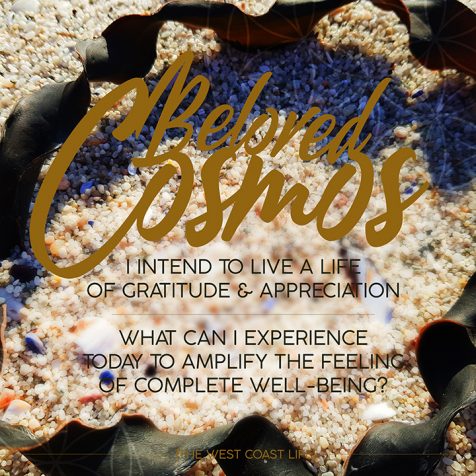 I Intend to Live a Life of Gratitude & Appreciation