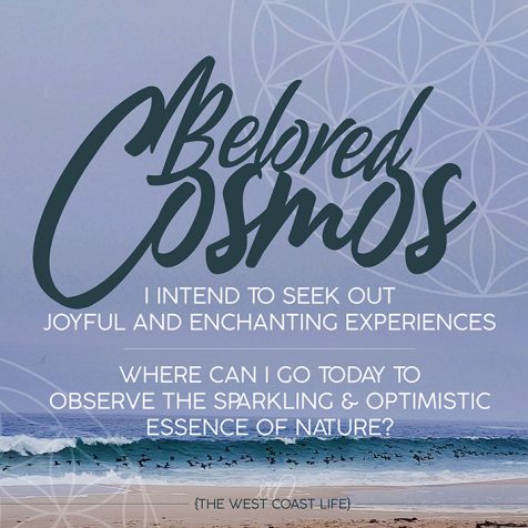 I Intend to Seek out Joyful and Enchanting Experiences