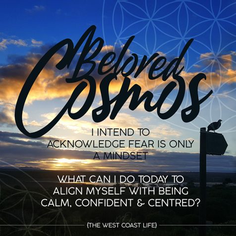 I Intend to Acknowledge Fear is only a Mindset