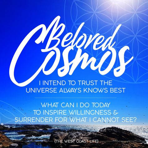 I Intend to Trust the Universe always knows Best.